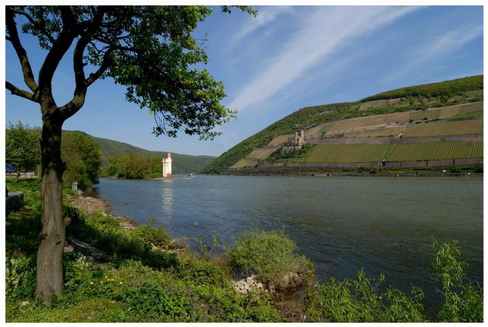 Hotel Café Post Rüdesheim am Rhein Extérieur photo